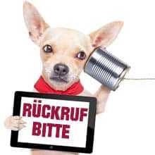 Rückruf Hund mit Dose